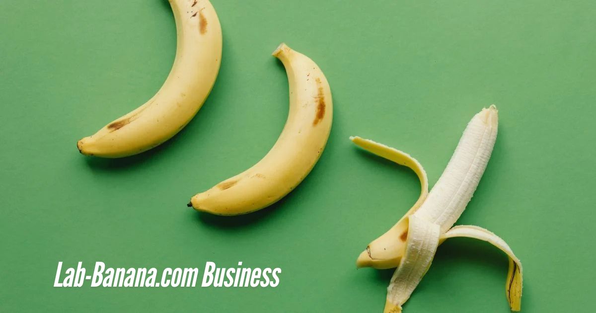 Lab-Banana.com-Business